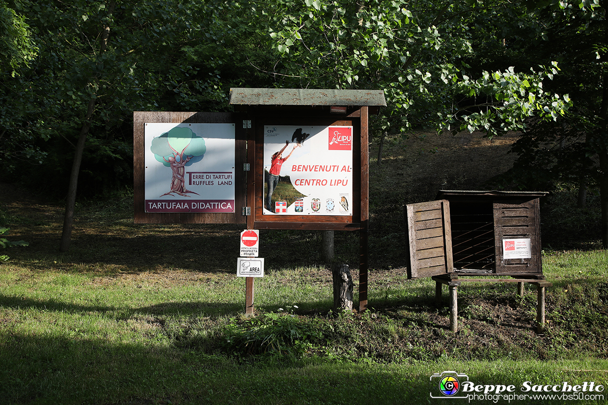 VBS_9460 - A spasso per Tigliole 2025 - Nona edizione.jpg